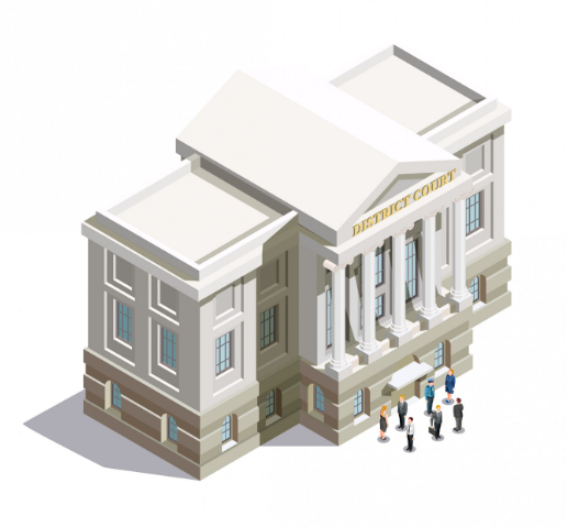 School / Institution